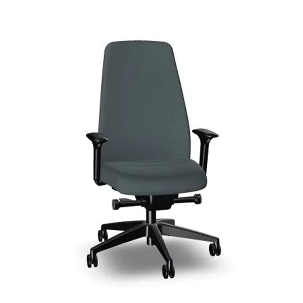 Scaun ergonomic Interstuhl Every EV117, gri