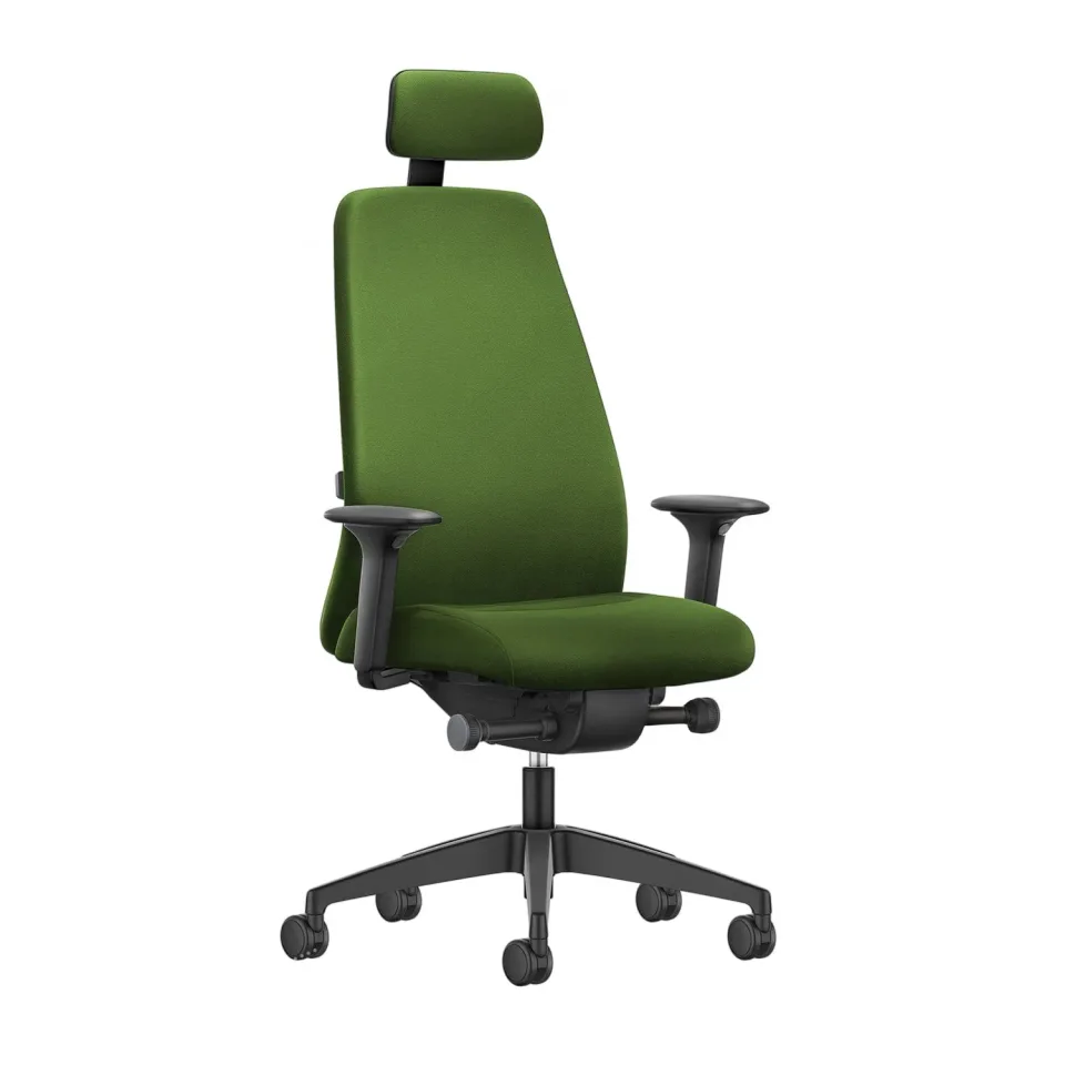 Scaun ergonomic Interstuhl Every EV119, verde