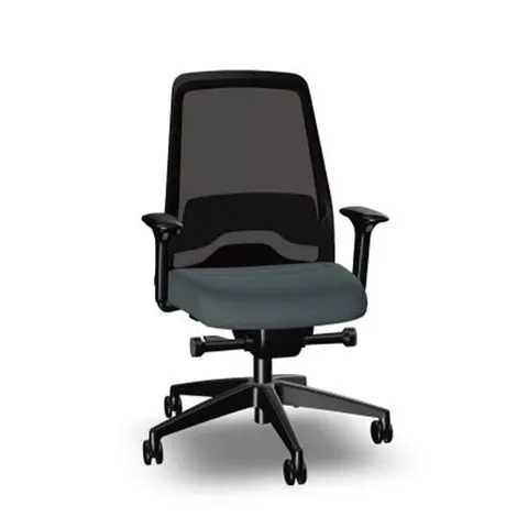 Scaun ergonomic Interstuhl Every EV216, gri