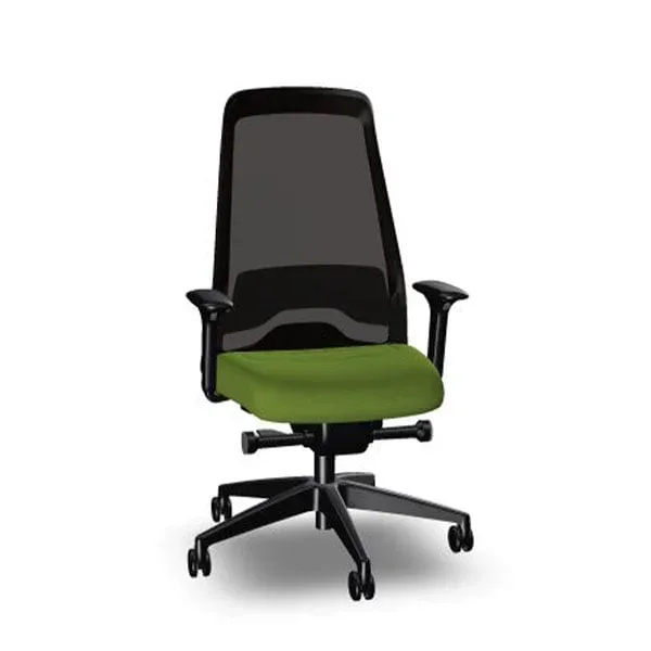 Scaun ergonomic Interstuhl Every EV217, verde