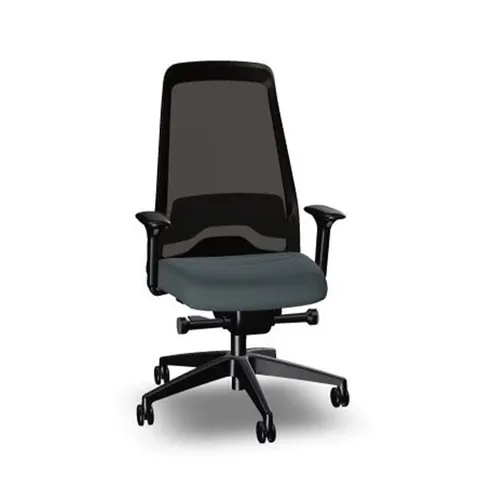 Scaun ergonomic Interstuhl Every EV217, gri