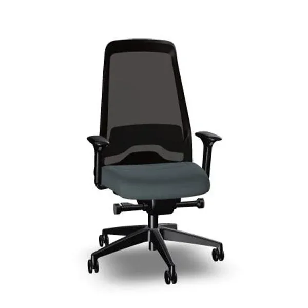Scaun ergonomic Interstuhl Every EV217, gri
