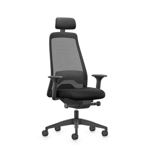 Scaun ergonomic Interstuhl Every EV218, negru