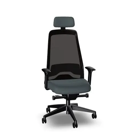 Scaun ergonomic Interstuhl Every EV218, gri