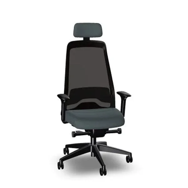 Scaun ergonomic Interstuhl Every EV218, gri