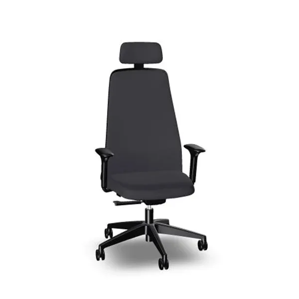 Scaun ergonomic Interstuhl EV353, gri