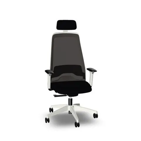 Scaun ergonomic Interstuhl EV253, negru