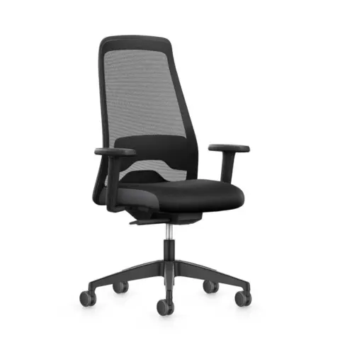 Scaun ergonomic Interstuhl Every EV252, negru