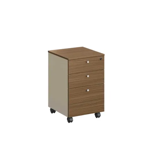 Dulap RFG Paris, 400 x 420 x 620 mm, nuc și gri deschis