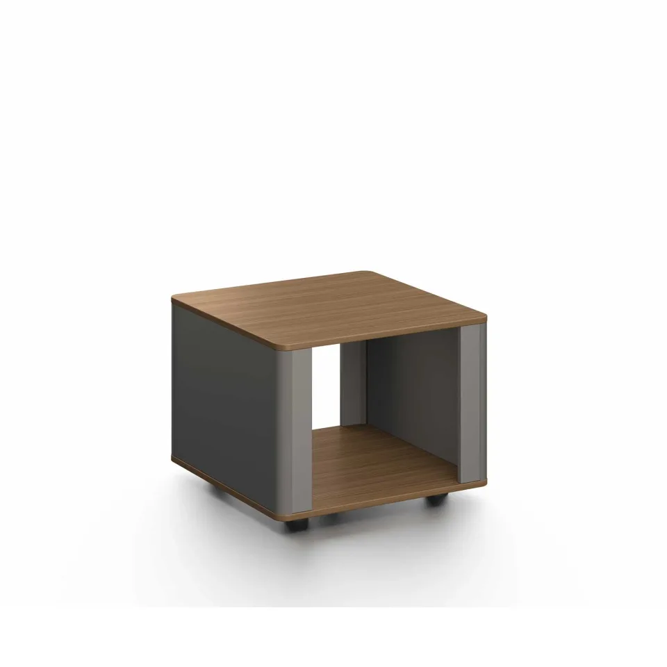 Măsuță joasă RFG Parma, 600 x 600 x 450 mm, nuc și grafit perlă