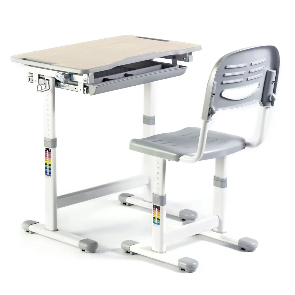 Birou și scaun ergonomic școlar RFG Ergo Tech B201N, gri