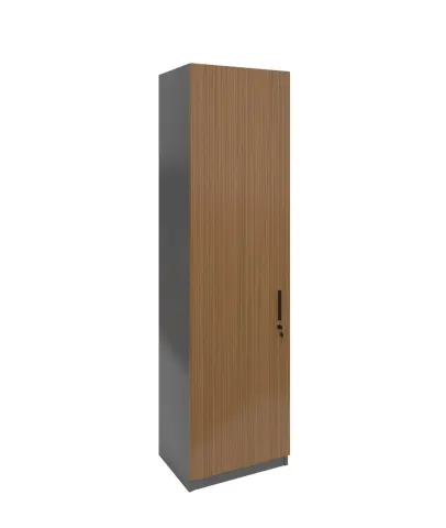 Dulap RFG Chicago, simplu, 550 x 400 x 2000 mm, PAL 18 mm, stejar Rhine și gri închis