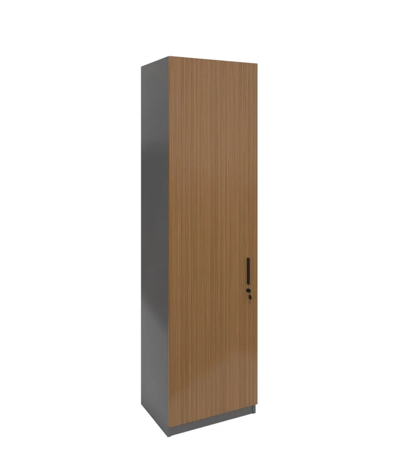 Dulap RFG Chicago, simplu, 550 x 400 x 2000 mm, PAL 18 mm, stejar Rhine și gri închis