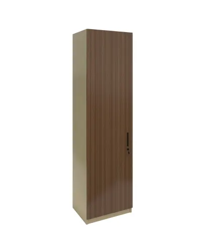 Dulap RFG Elmaz, simplu, 550 x 400 x 2000 mm, PAL 18 mm, stejar australian și gri