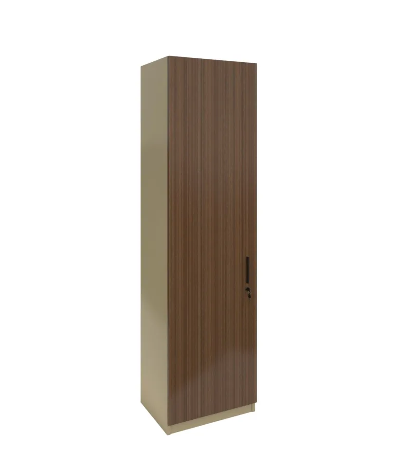 Dulap RFG Lisabon, simplu, 550 x 400 x 2000 mm, PAL 18 mm, stejar închis și gri