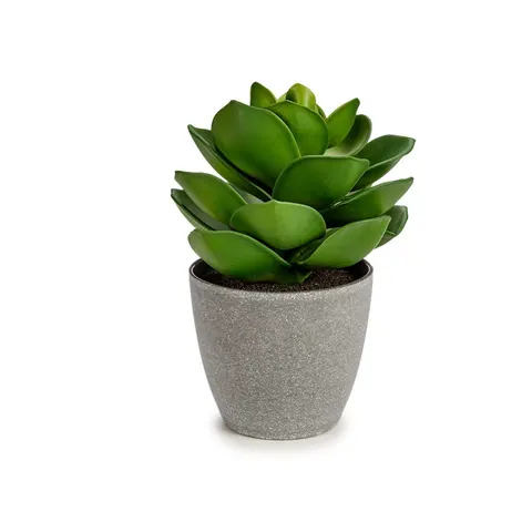 Ghiveci pentru plante Ibergarden, lat, mare