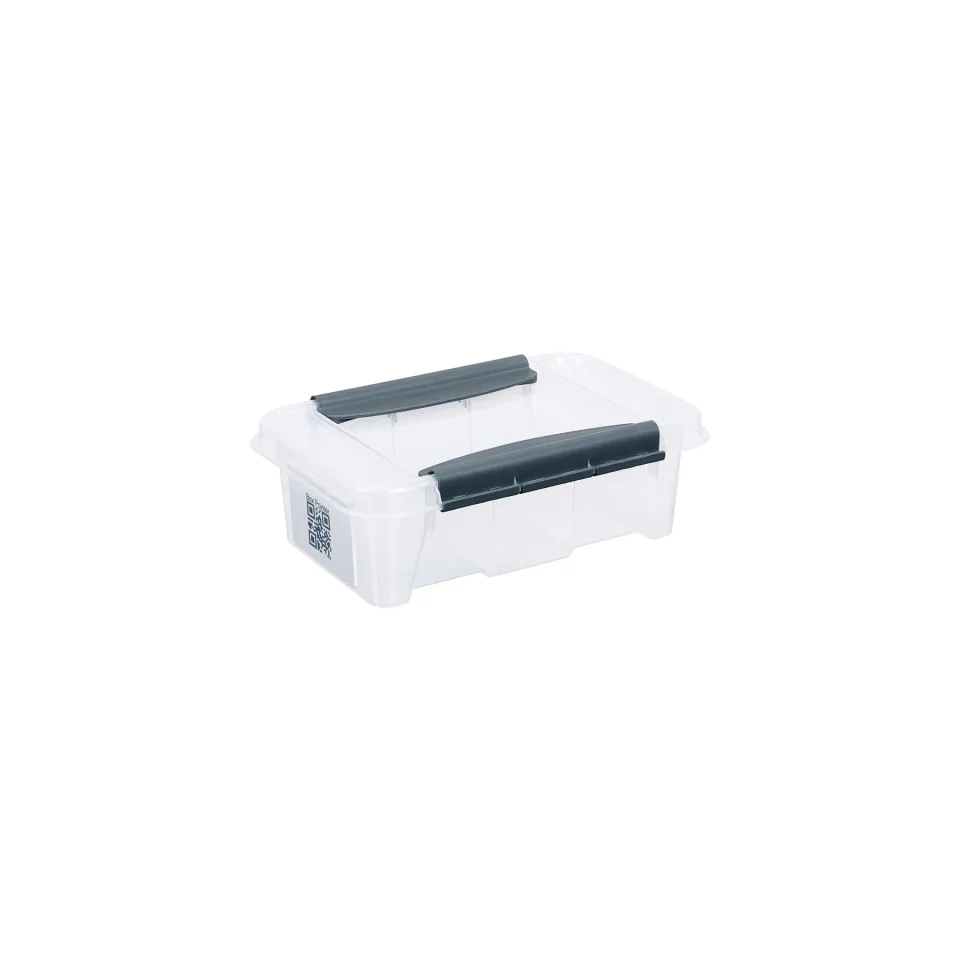Cutie de depozitare Pro Box, 195 x 290 x 98 mm, 3 L
