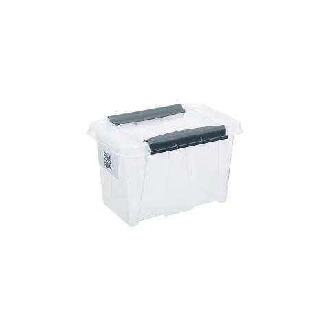 Cutie de depozitare Pro Box, 195 x 290 x 185 mm, 6 L