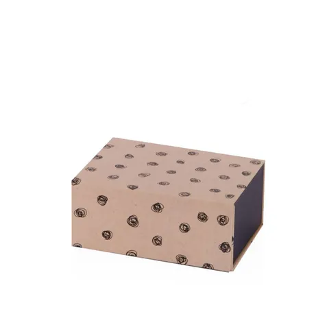 Gipta Cutie cadou Crafty, pliabilă, 190 x 300 x 105 mm, asortată