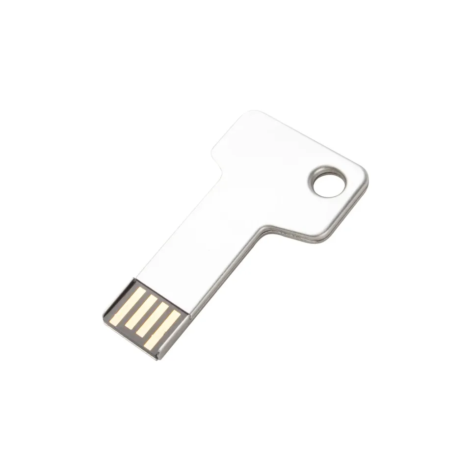 Stick USB flash drive, USB 2.0, 8 GB, în formă de cheie, argintiu