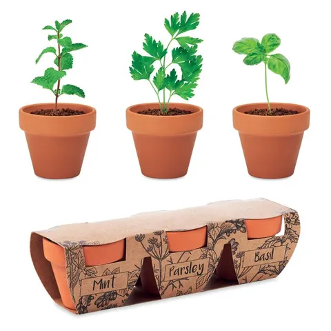 Set de plante aromatice More Than Gifts Flowerpot, în ghiveci, 3 buc.