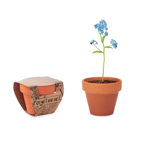 Floare More Than Gifts Nu-mă-uita, în ghiveci