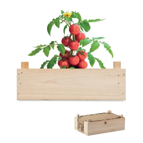 Kit pentru cultivarea roșiilor More Than Gifts
