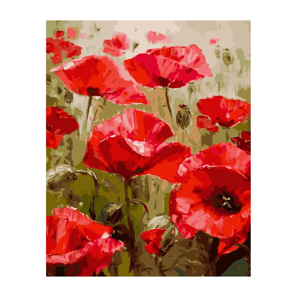 Foska Set de pictat după numere Maci, 40 x 50 cm