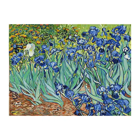 Set de pictură după numere Foska Irises, 40 x 50 cm