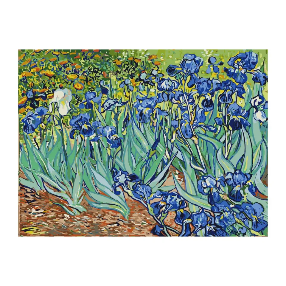 Set de pictură după numere Foska Irises, 40 x 50 cm