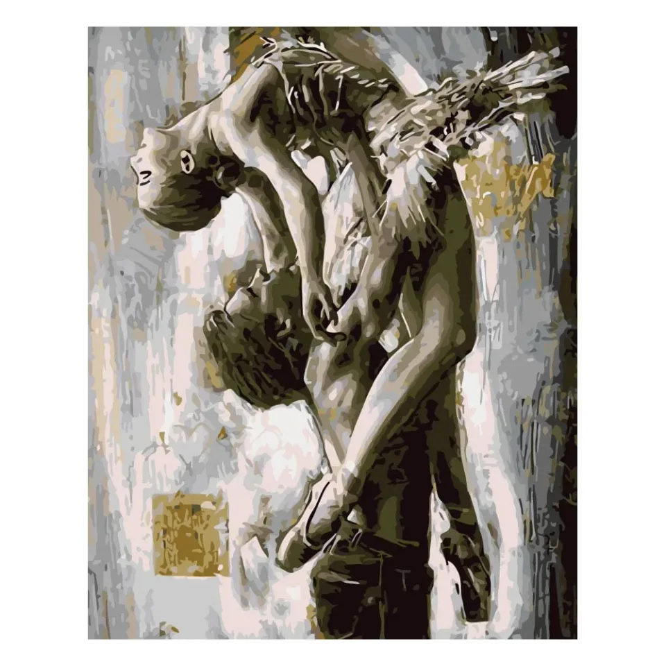 Set Foska Pictură pe Numere Dance, 40 x 50 cm