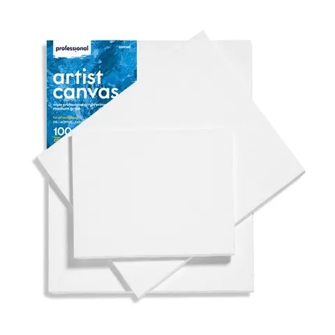 Standart Professional Pânză Întinsă pe Sasiu, 20 x 30 cm, 1 buc