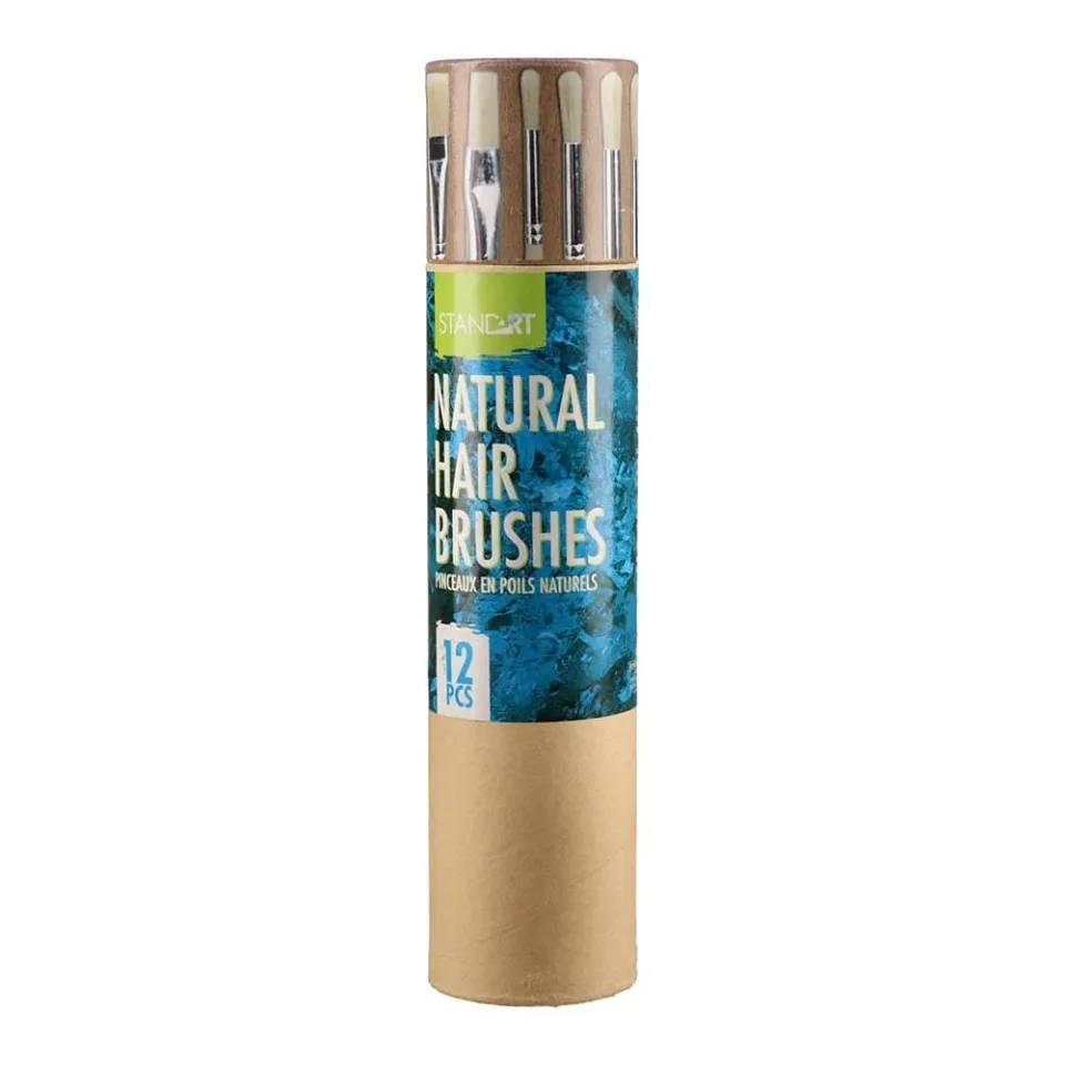 Pensule Standart Pop Brush, păr natural, în cutie, 12 buc.