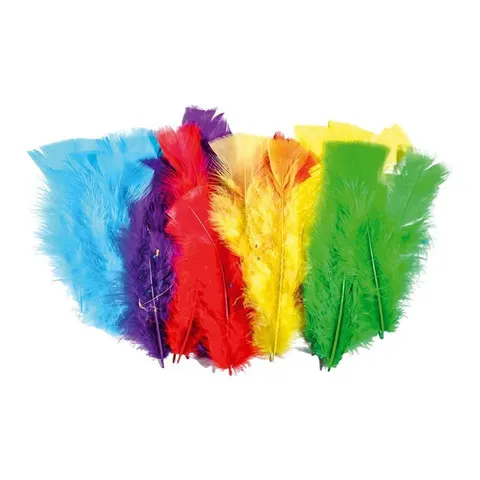 Pene decorative Junior, colorate, 24 buc.