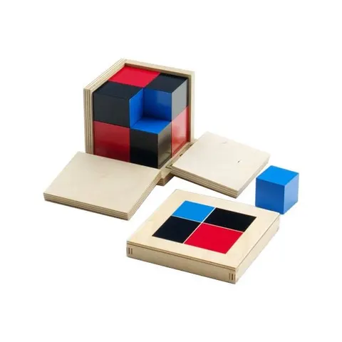Cub Binomial Montessori