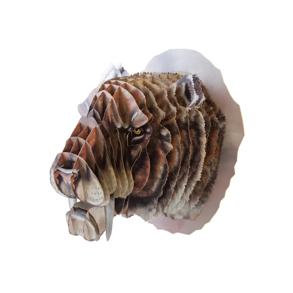Cap de Tigru 3D Gespaensterwald