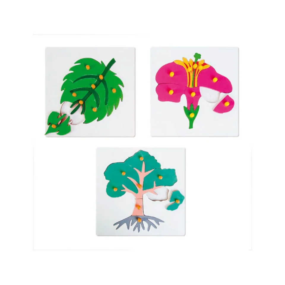 Puzzle Nowa Szkola Botany, 25 x 25 cm