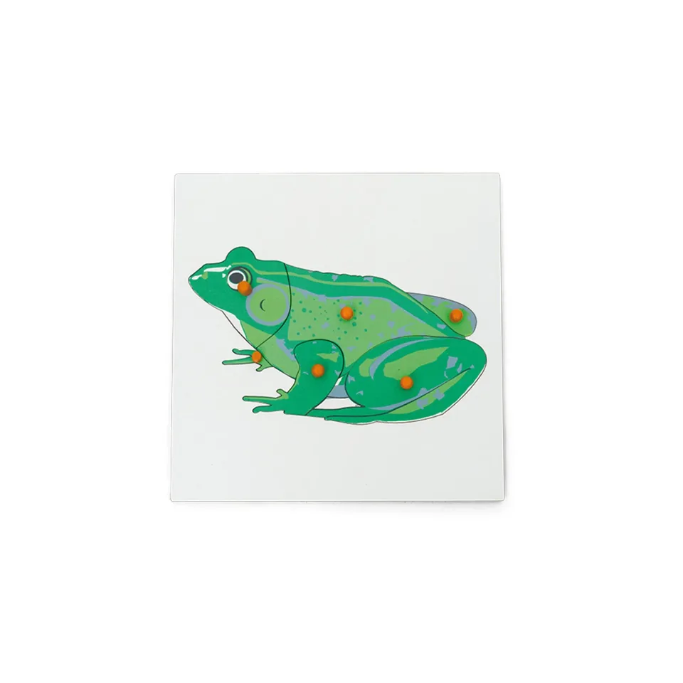 Puzzle Nowa Szkola Broscuță, din lemn, 6 piese