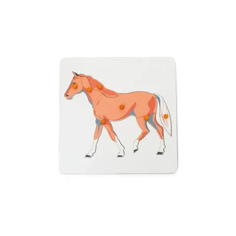 Nowa Szkola Puzzle Cal, lemn, 7 buc.