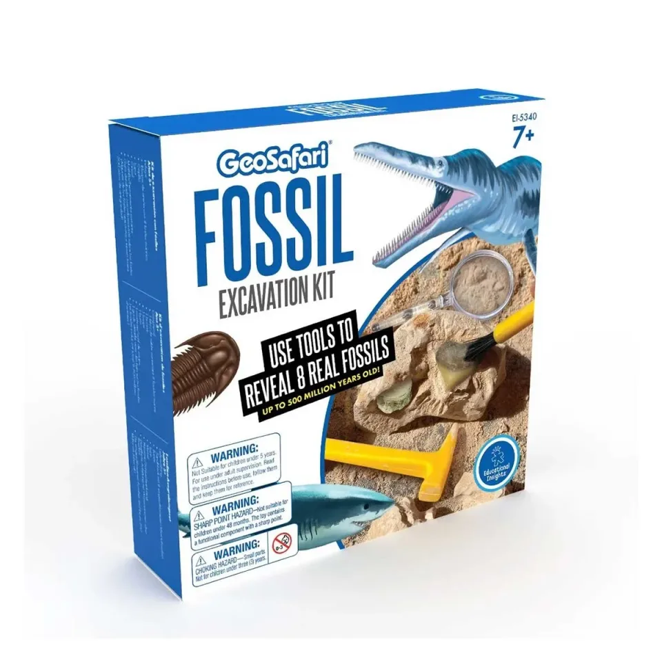 Colecția de fosile Learning Resources
