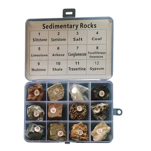 Colecția de roci sedimentare Gelsonlab
