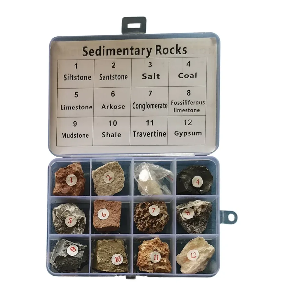 Colecția de roci sedimentare Gelsonlab