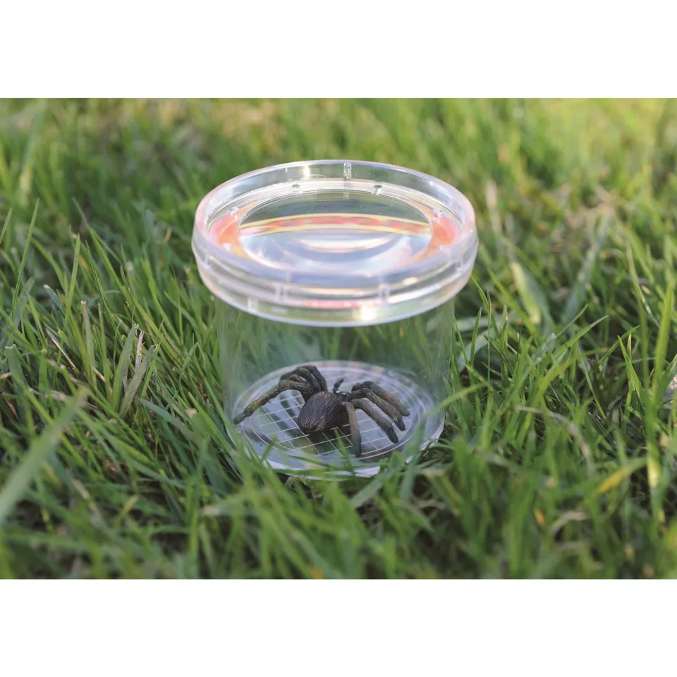 Borcan pentru observarea insectelor Learning Resources