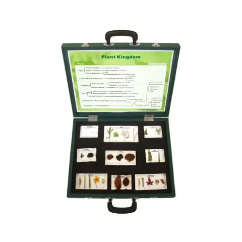 Kit tipuri de plante Gelsonlab, în valiză, 9 piese