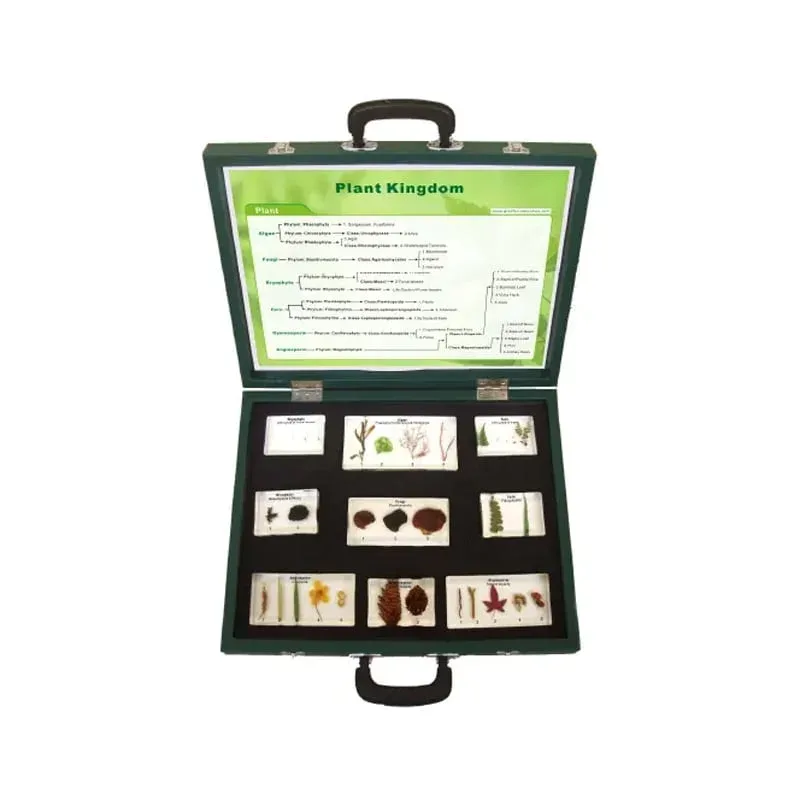 Kit tipuri de plante Gelsonlab, în valiză, 9 piese