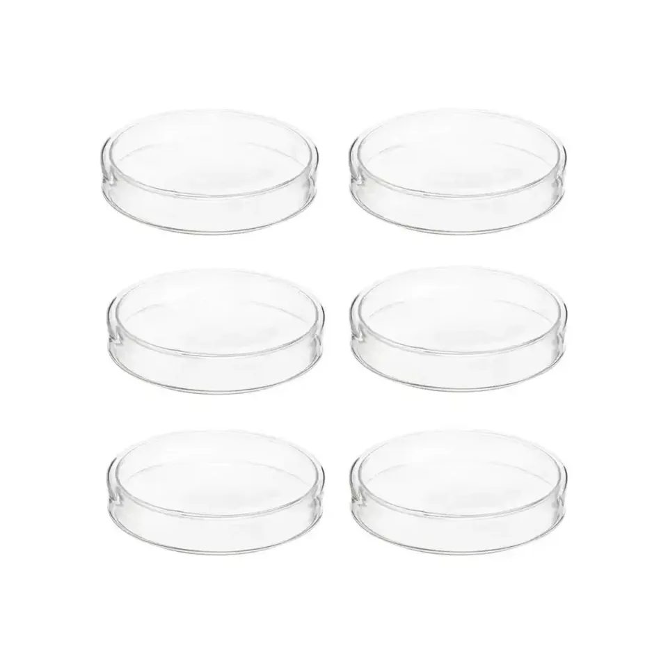 Gelsonlab Farfurie Petri, sticlă, 100 mm