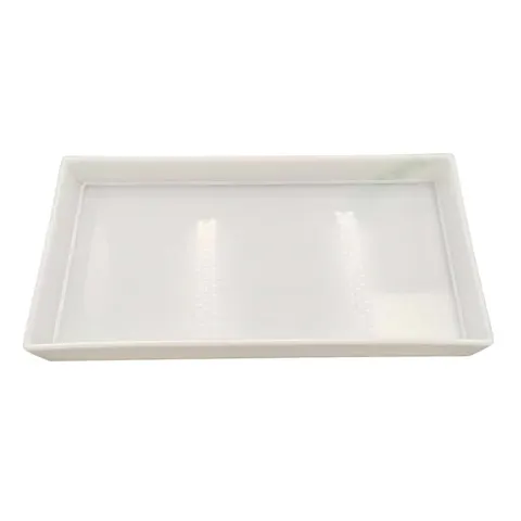 Tavă din plastic Gelsonlab, 20 x 40 x 5 cm