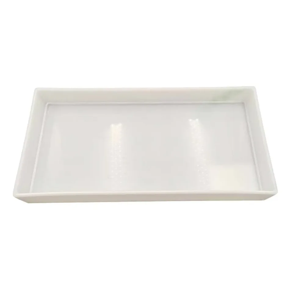 Tavă din plastic Gelsonlab, 20 x 40 x 5 cm