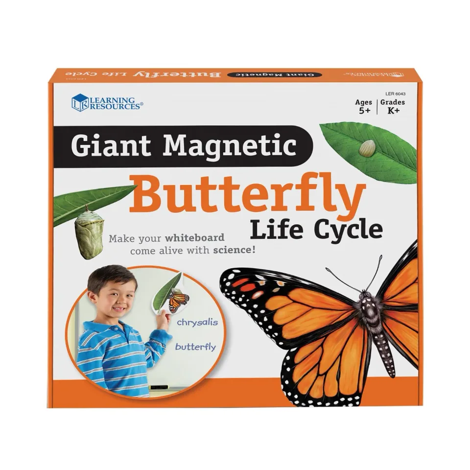 Set magnetic Learning Resources Ciclu de viață al fluturelui