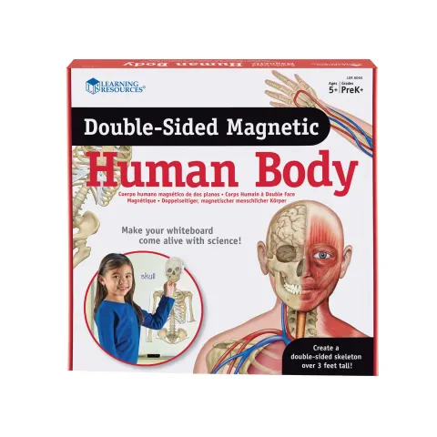 Learning Resources Corpul Uman Magnetic
